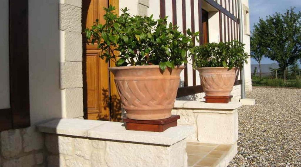 Le Mont D'Auge Bed & Breakfast Canapville  Luaran gambar