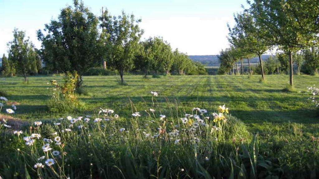 Le Mont D'Auge Bed & Breakfast Canapville  Luaran gambar