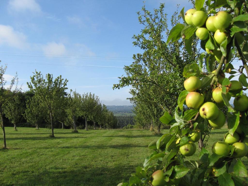 Le Mont D'Auge Bed & Breakfast Canapville  Luaran gambar