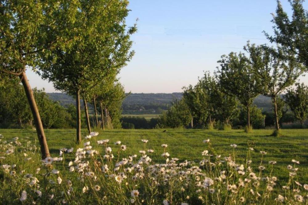 Le Mont D'Auge Bed & Breakfast Canapville  Luaran gambar
