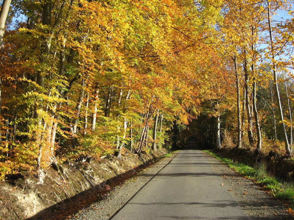Le Mont D'Auge Bed & Breakfast Canapville  Luaran gambar